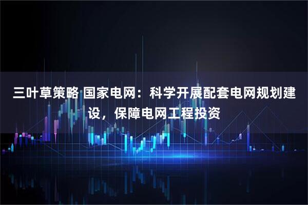 三叶草策略 国家电网：科学开展配套电网规划建设，保障电网工程投资