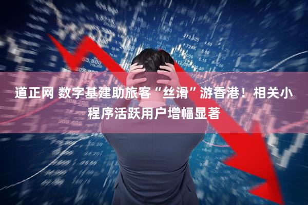 道正网 数字基建助旅客“丝滑”游香港！相关小程序活跃用户增幅显著