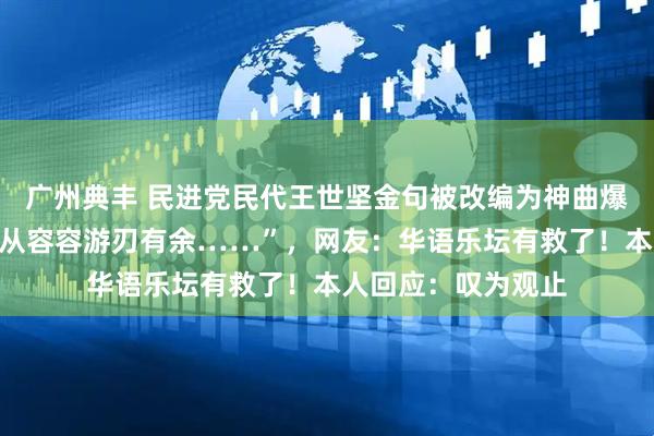 广州典丰 民进党民代王世坚金句被改编为神曲爆红：“本来应该从从容容游刃有余……”，网友：华语乐坛有救了！本人回应：叹为观止