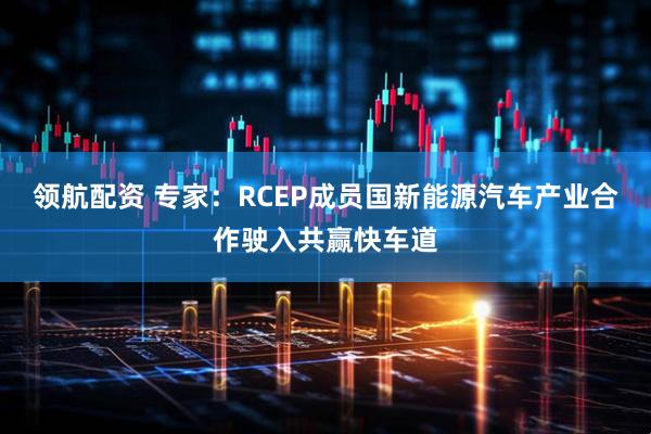 领航配资 专家：RCEP成员国新能源汽车产业合作驶入共赢快车道